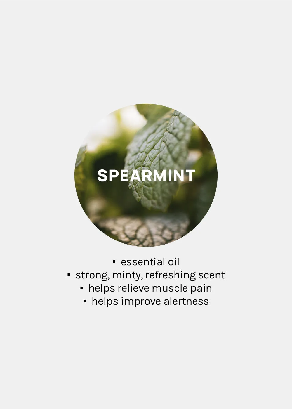 AOA 100% Essential Oils - Spearmint