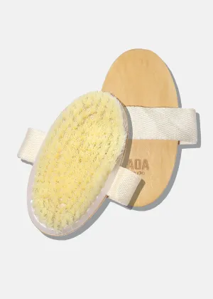 AOA Premium Body Dry Brush