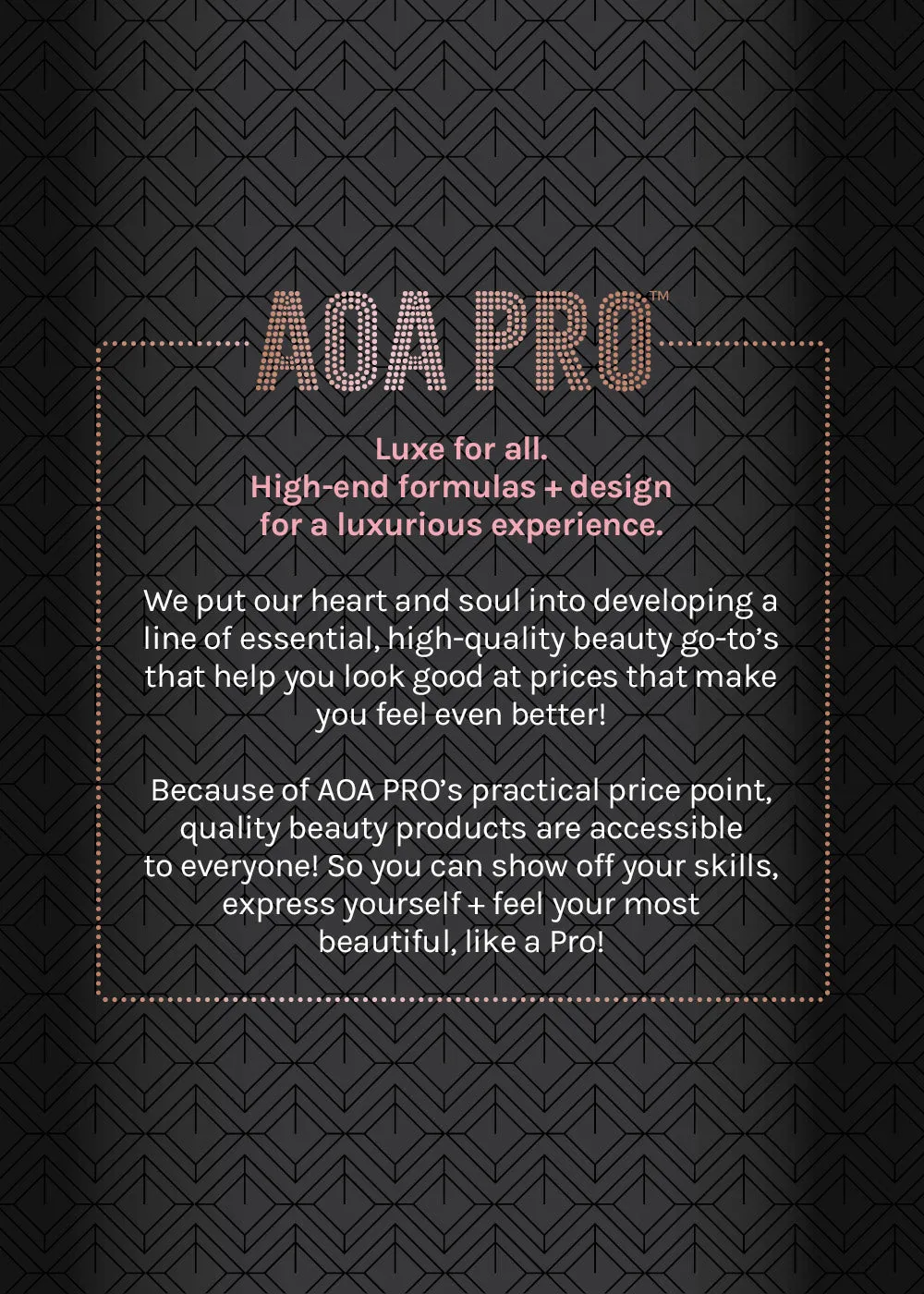 AOA Pro Brow Perfection Pencil