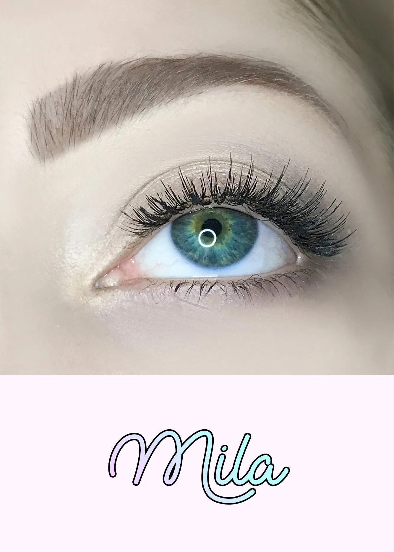 AOA Studio Eyelashes - Mila