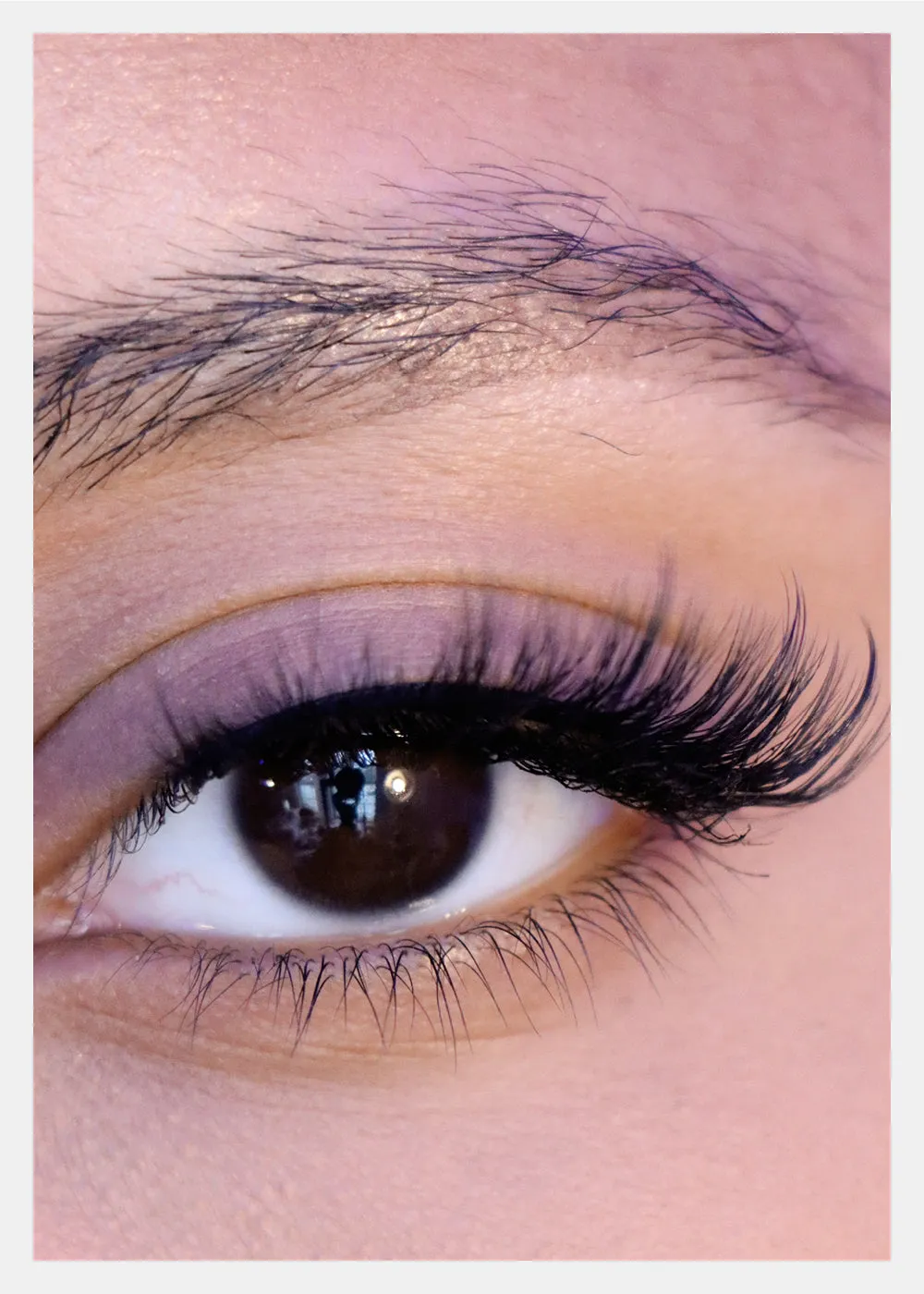D-LUX Curl Premium Faux Mink Lashes - Grace