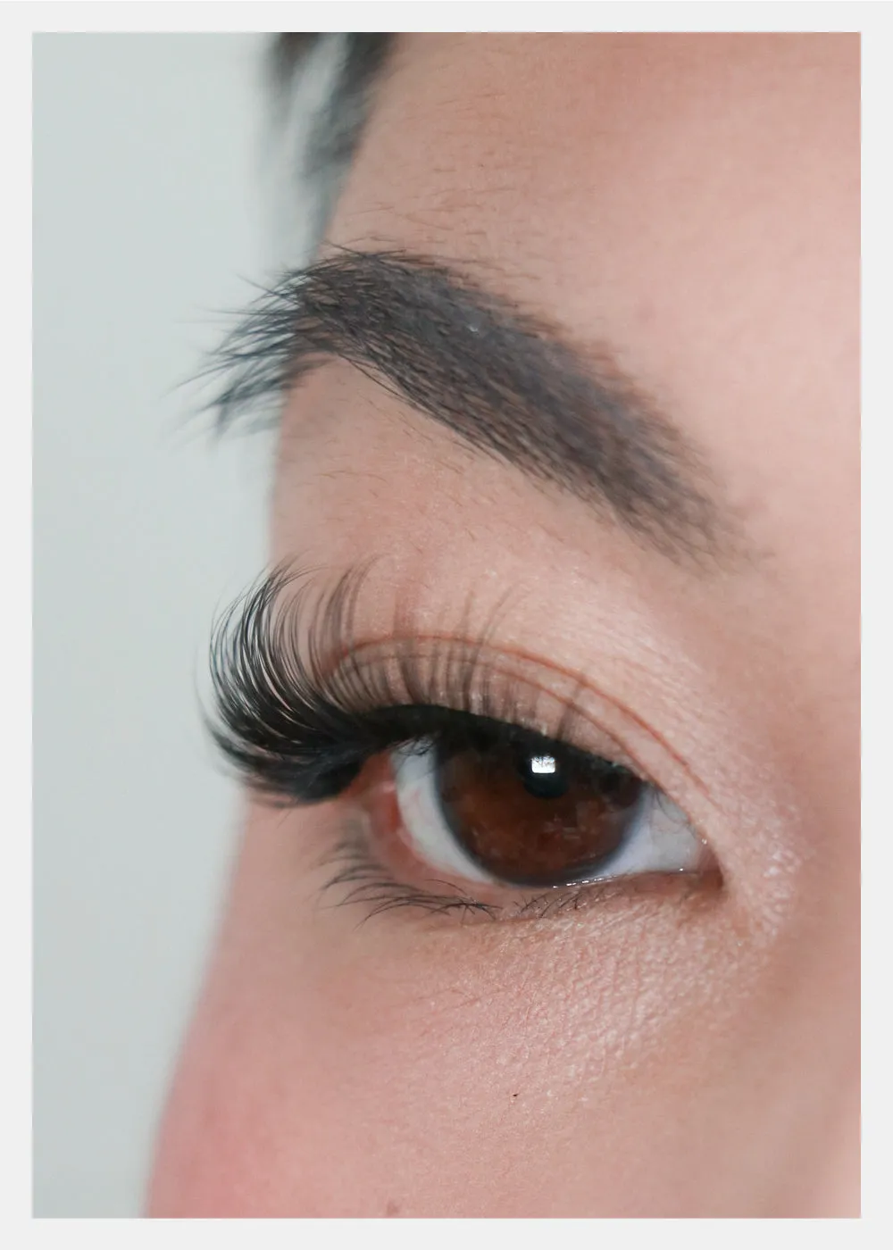 D-LUX Curl Premium Faux Mink Lashes - Mae