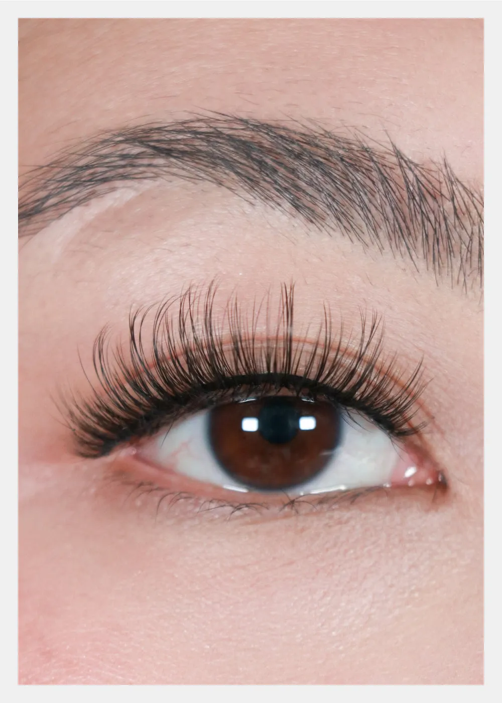 D-LUX Curl Premium Faux Mink Lashes - Mae