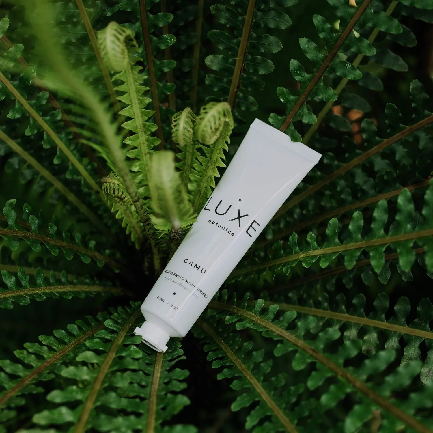 Luxe Botanics Camu Brightening Moisturizer - Helps to Brighten & Even Skintone Organic Camu Camu Berry, Vitamin C, Shea Butter, Avocado and Jojoba Oil (2oz)