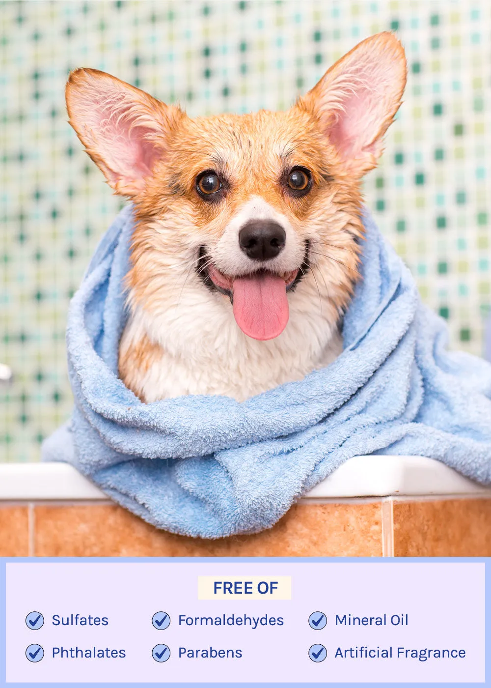 Natural Dog Shampoo