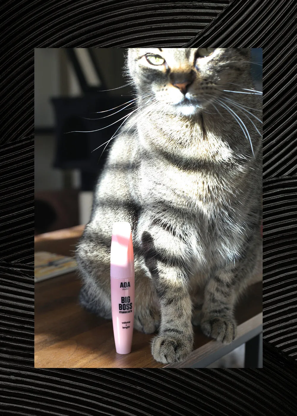 Paw Paw Big Boss Mascara