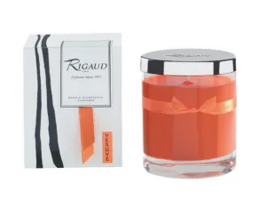 Rigaud Paris, Vesuve, Bougie D'ambiance Parfumee, Medium Candle "Modele Complet" with Metal Silver Lid,5.6 Oz, 60 Hour Burn Life