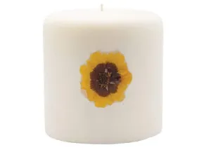 Rosy Rings Pillar Botanical Candle Size: 25'' D x 3.5'' H (Pumpkin Cardamom)