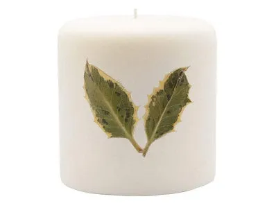 Rosy Rings Pillar Botanical Candle Size: 25'' D x 3.5'' H (Red Currant & Cranberry)
