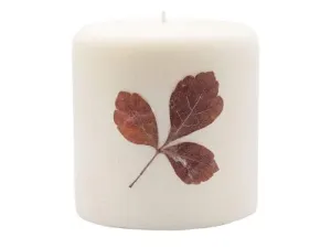 Rosy Rings Pillar Botanical Candle Size: 25'' D x 3.5'' H (Spicy Apple)